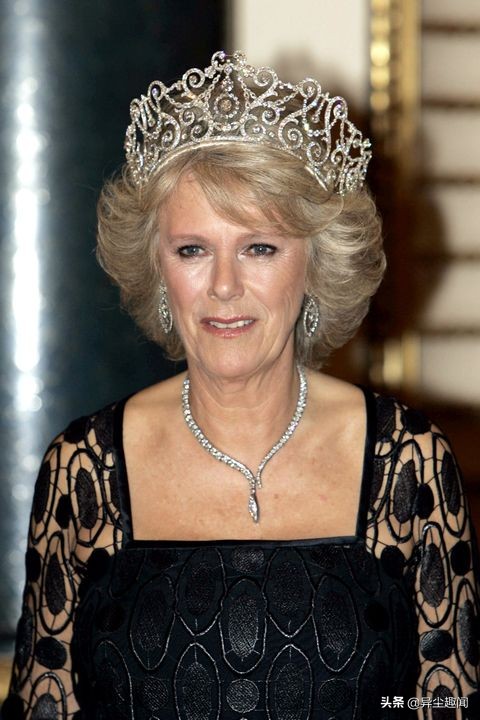 康沃爾公爵夫人卡米拉佩戴閃閃發光鑽石首飾的19張照片 康沃爾公爵夫人卡米拉佩戴閃閃發光鑽石首飾的19張照片
