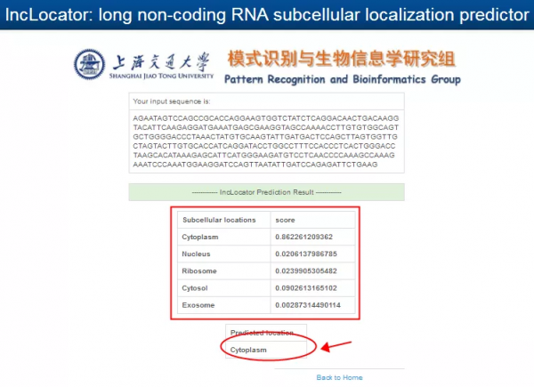 如何預測lncRNA亞細胞定位？3個預測工具“一鍵式”幫您輕鬆搞定