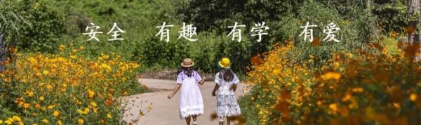 孩子只玩手機不學習？一個技巧幫你避免親子問題