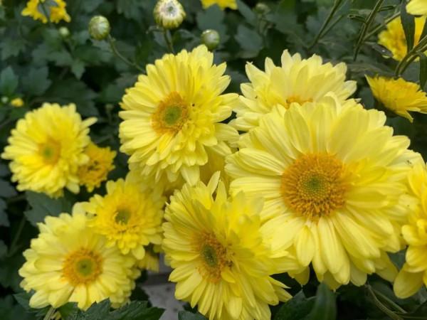 朋友圈2021年第31期