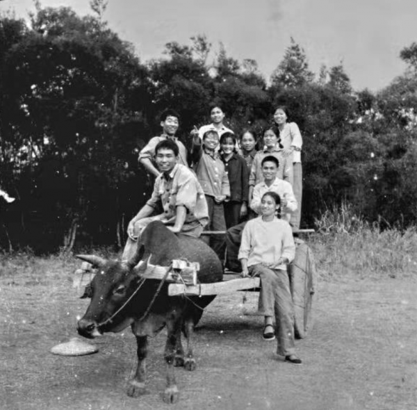 知青王文軒往事：陝北插隊10年娶農村媳婦，回京時老丈人痛哭不已