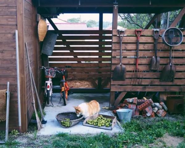 想把日子過成詩