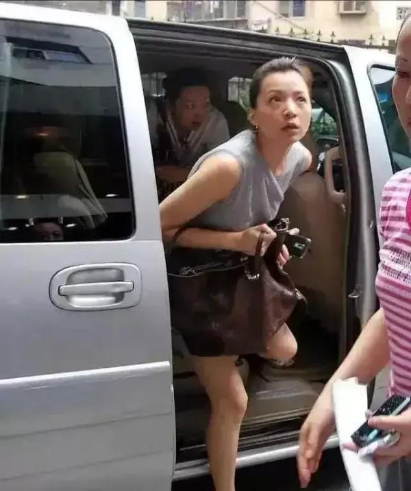 素顏才女董卿，才華橫溢