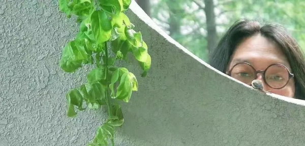 生命裡那些溫柔的小事,能救命 生命裡那些溫柔的小事,能救命