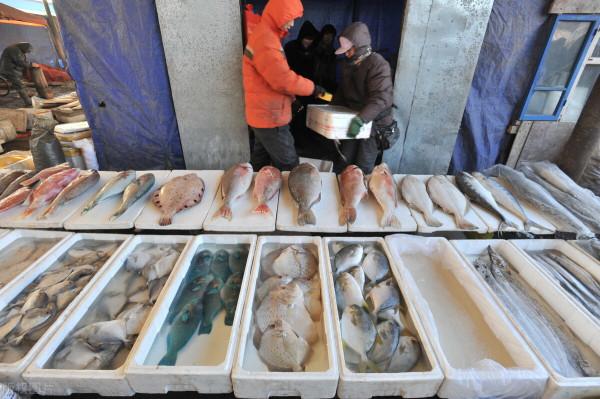 懂行人買魚，專挑這3種海魚，目前無法人工養殖，全是純野生