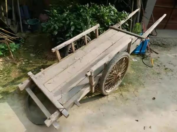 賣血供3個哥哥上學，照顧癱瘓繼父，16歲意外去世，讓人淚奔