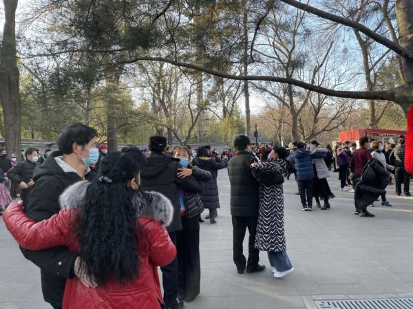 北京免費又熱鬧的紫竹院公園