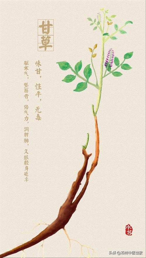 藥性歌括四百味、甘草