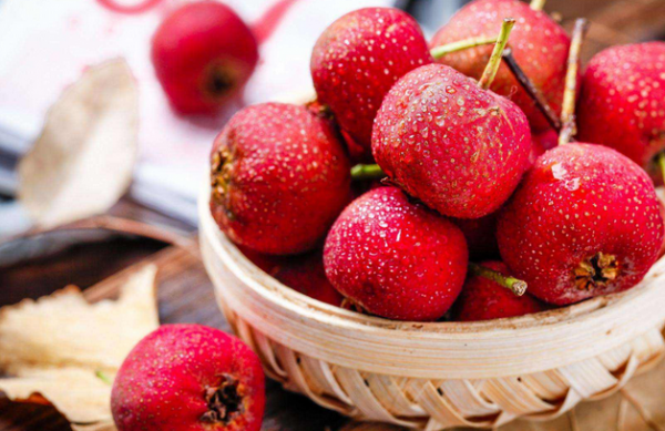 挑食會讓人營養不良？若胃不好，學會&OpenCurlyDoubleQuote;挑食&rdquo;更有利於健康