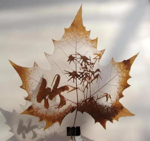 一葉知秋,一葉一世界 一葉知秋,一葉一世界