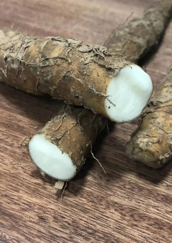 不止好吃那麼簡單!這三種養胃“鮮藥”你用對了嗎? 不止好吃那麼簡單!這三種養胃“鮮藥”你用對了嗎?