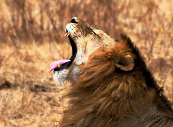 還好我挖了牆根（微小說）