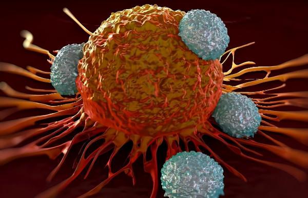 所有“隔夜食物”都不能吃嗎？這3種食物，第二天味道可能更好