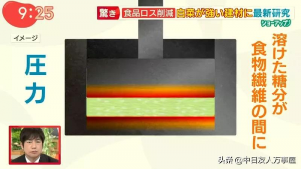 用白菜蓋房子，當作建材是混凝土的４倍，不但環保還可以拿來吃？