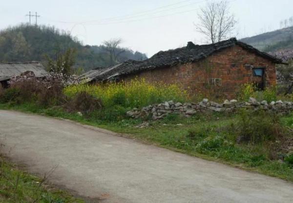 我的傳奇兄弟(原創) 我的傳奇兄弟(原創)