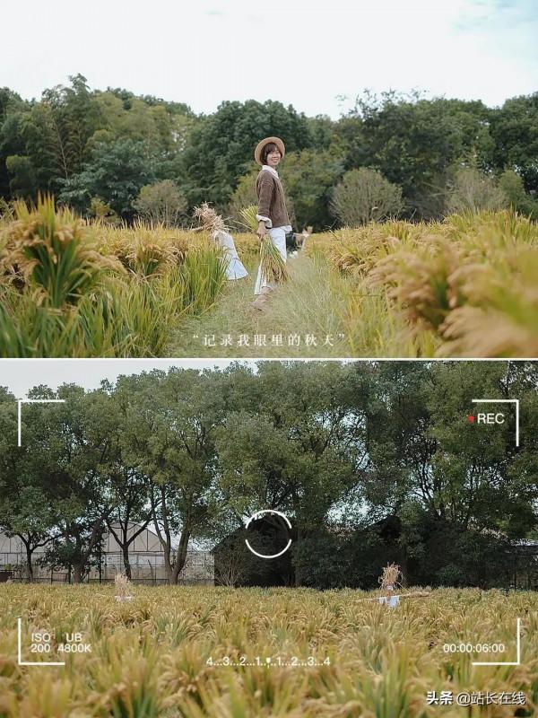 霸屏預警！美！滴！很