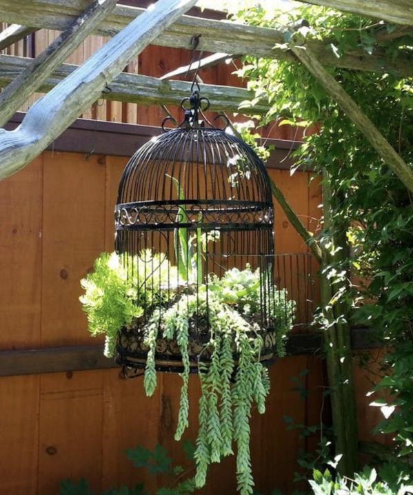 30種與眾不同的花園,水壺、舊靴子、爛門框,全部都可以種花 30種與眾不同的花園,水壺、舊靴子、爛門框,全部都可以種花