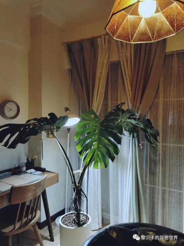 我收集了一份高顏值家居單品清單,請查收 我收集了一份高顏值家居單品清單,請查收