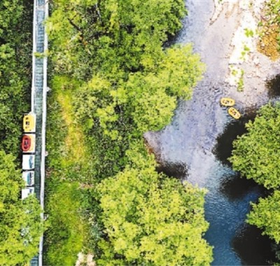 靖安的發現 靖安的發現