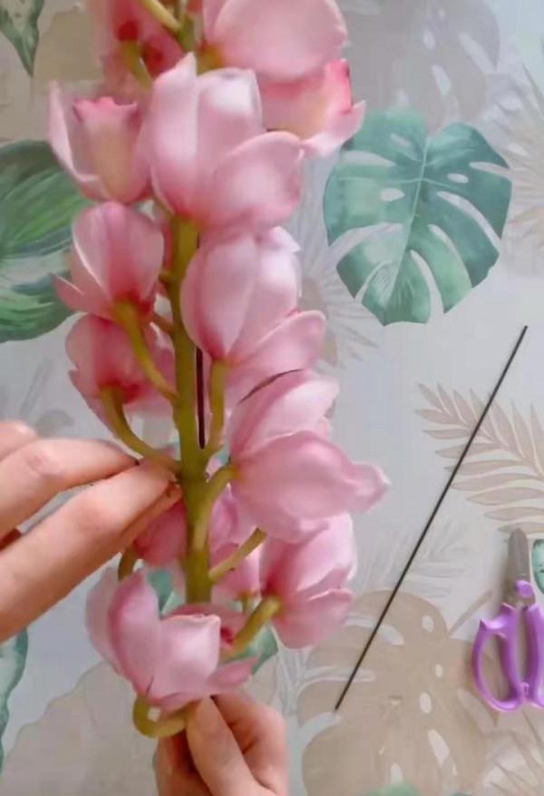 有一種不屈的堅韌。當之無愧的大家閨秀——大花蕙蘭 有一種不屈的堅韌。當之無愧的大家閨秀——大花蕙蘭