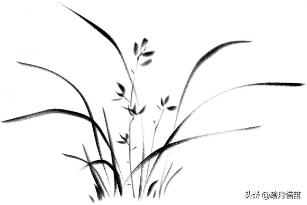 中秋遊新疆 | 去天池 尋找秋天的童話 中秋遊新疆 | 去天池 尋找秋天的童話