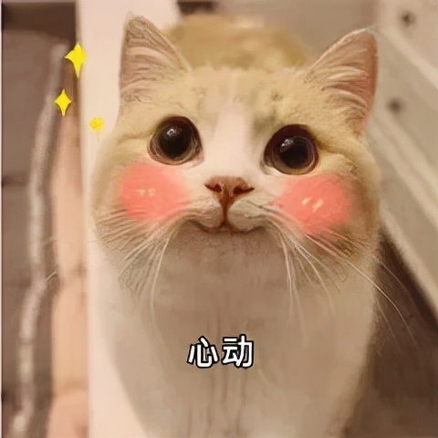 保鮮膜、暴汗服真的是減肥“神器”嗎? 保鮮膜、暴汗服真的是減肥“神器”嗎?