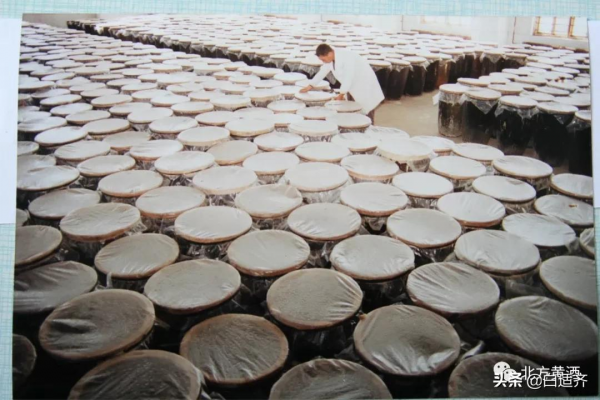 這是北方黃酒：五大核心