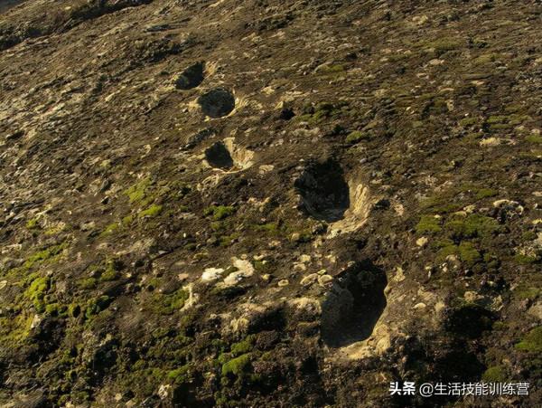 35張圖片帶我們領略大自然的狂野和美麗 35張圖片帶我們領略大自然的狂野和美麗