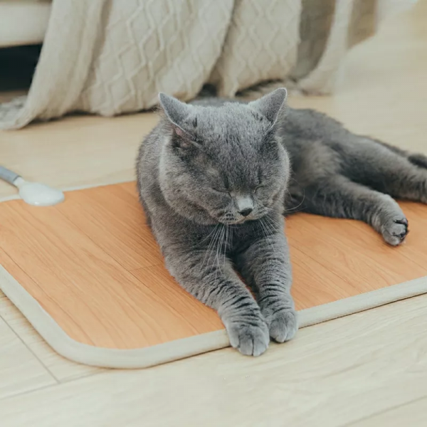 他讓南方人放下暖氣執念，2000塊實現暖氣自由