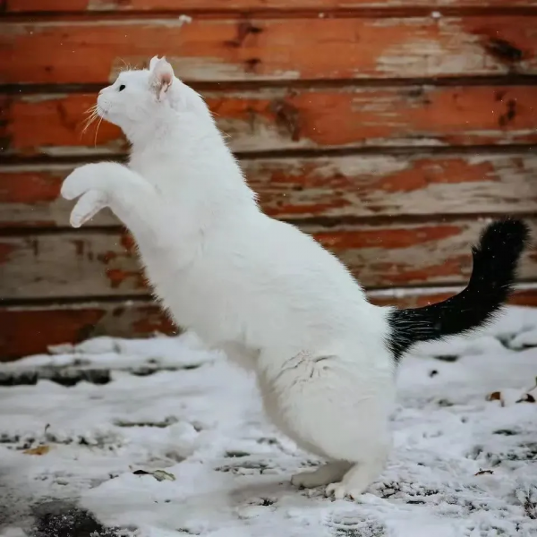 小嶽嶽：你知道我為了紅有多努力嗎？