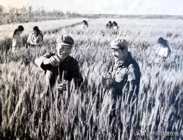 百年瞬間丨開發北大荒 百年瞬間丨開發北大荒