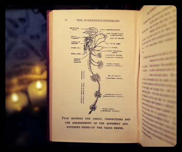 1929年瑜伽神秘昆達里尼超級稀有開啟蛇力量冥想