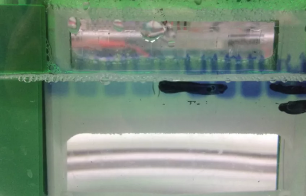 天能VE-586丨Western Blot蛋白免疫印跡常見問題