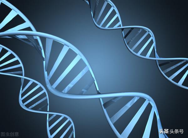 生物遺傳學大題10種題型全彙總!答題不再燒腦 生物遺傳學大題10種題型全彙總!答題不再燒腦