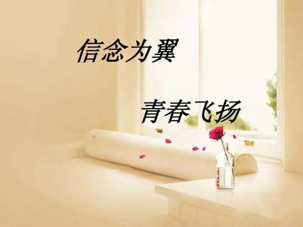 被騙85萬後的第117天，我也擁有非凡的信念（2）