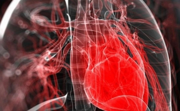 1984年,美國一女嬰移植狒狒心臟手術成功,女孩最後能不能活下去 1984年,美國一女嬰移植狒狒心臟手術成功,女孩最後能不能活下去