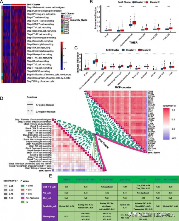 IF&equals;8&period;775，m5C純生信文章，下一個爆點？