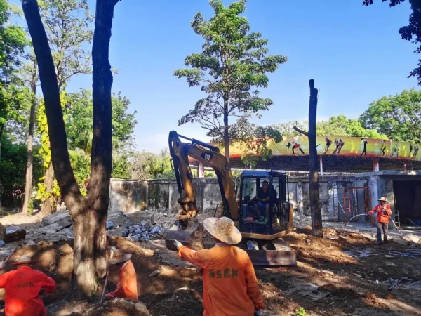 好久不見,中山公園又有哪些新變化 好久不見,中山公園又有哪些新變化