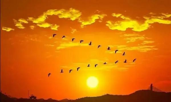 七律· 壟 上 行