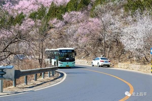 美成仙境的京郊延壽醉美公路，玩賞正當時！