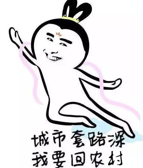 我要回農村!入鄉返鄉落戶新政來了 我要回農村!入鄉返鄉落戶新政來了