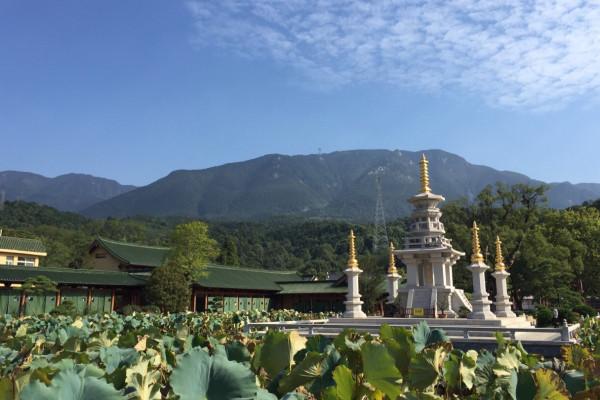 江西“良心”景區曝光,每年虧損上億門票卻免費,中午居然還管齋飯