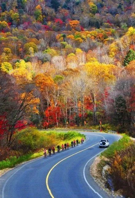 金虎之年人生氣運漫談