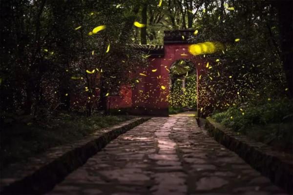 美！外國人眼裡最羨慕的中國美景，你都去過嗎？