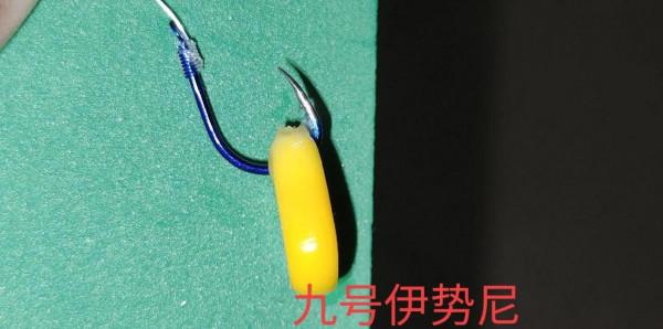 這幾天野釣鯉魚老是脫鉤