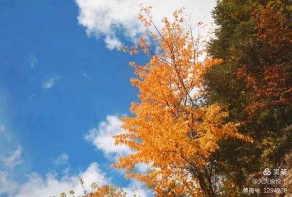川西美景，太震撼
