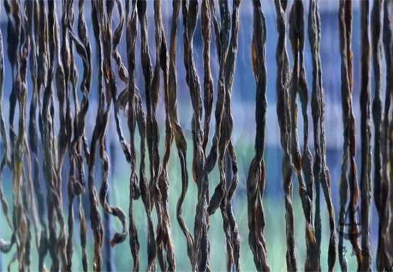 才知道，儲存豆角別放冰箱裡了，這樣做1年都不壞，存越久越好吃