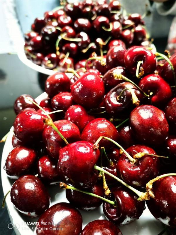 P50 Pocket挺適合當備機，如果你捨得買且買得到