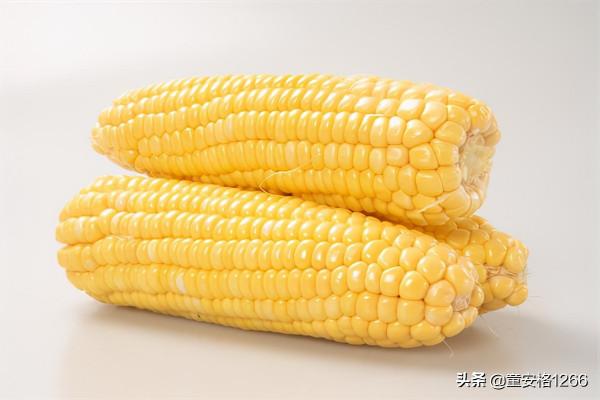 晚上吃什麼養胃又補胃,三大類食材營養好消化,你喜歡怎麼吃? 晚上吃什麼養胃又補胃,三大類食材營養好消化,你喜歡怎麼吃?