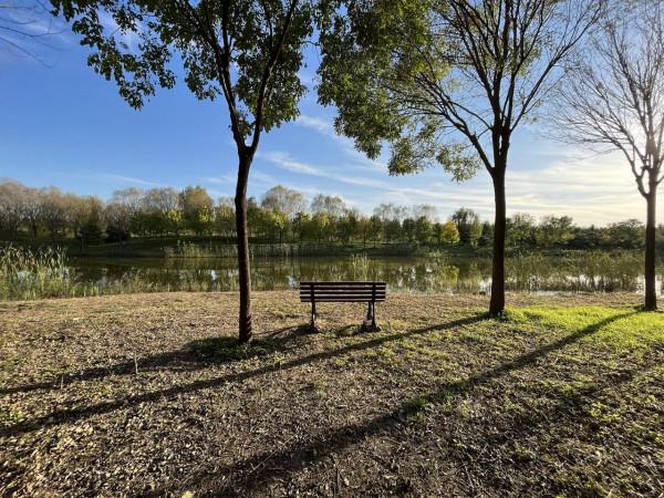 iPhone 13拍照實戰體驗：色調真實，想要高飽和度也沒問題